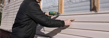 Best Custom Trim and Detailing for Siding  in Franklin, NH